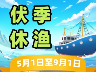 2025年威海伏季休漁政策發(fā)布！